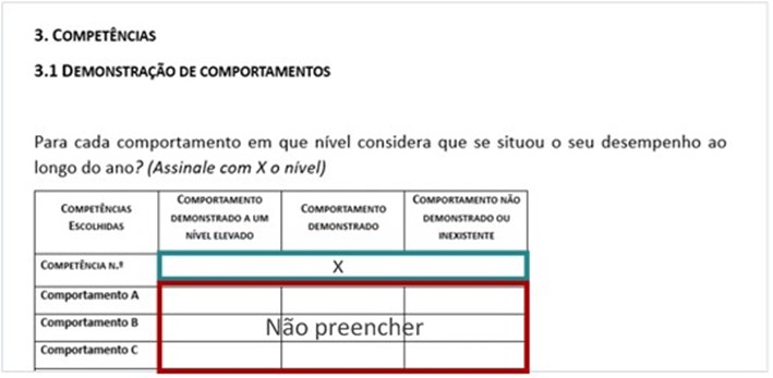 Imagem3